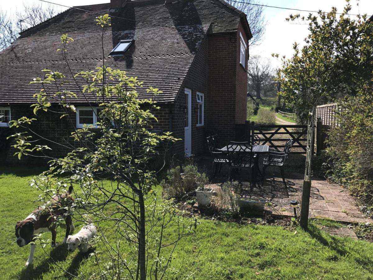 Godshill Park Cottages 外观 照片