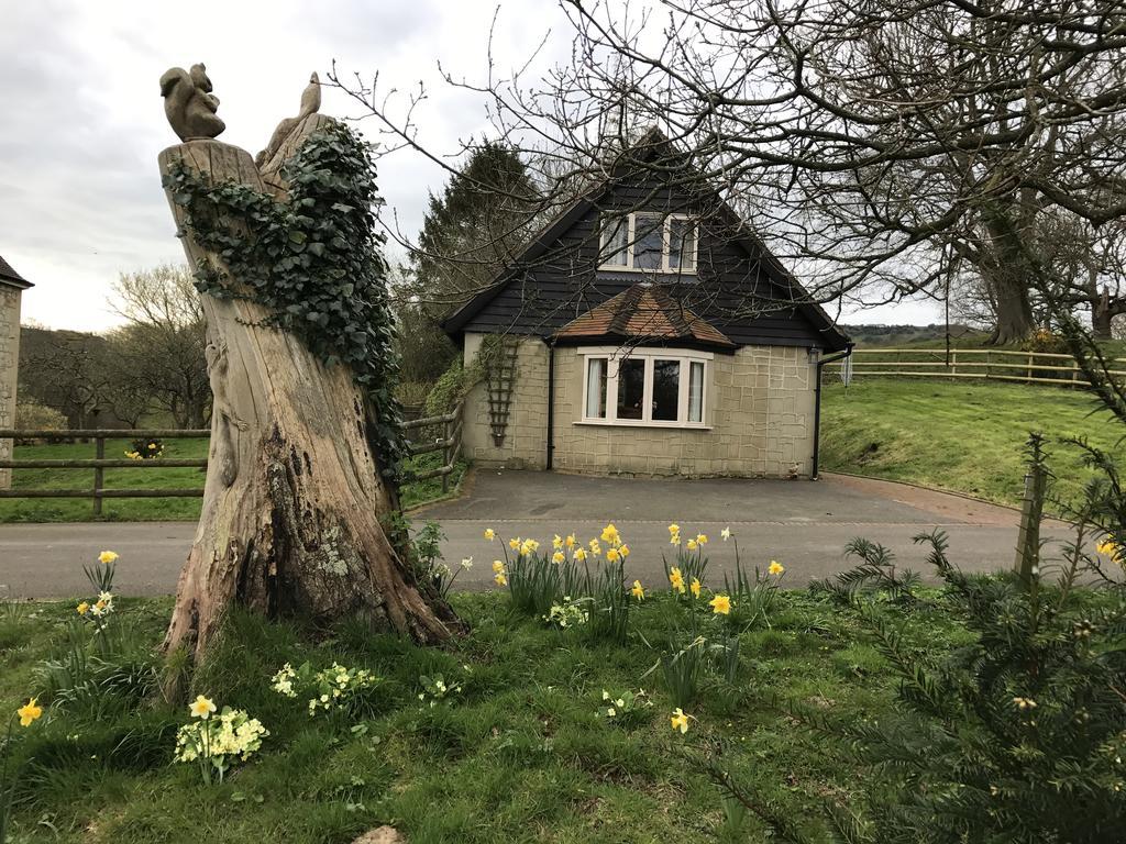 Godshill Park Cottages 外观 照片